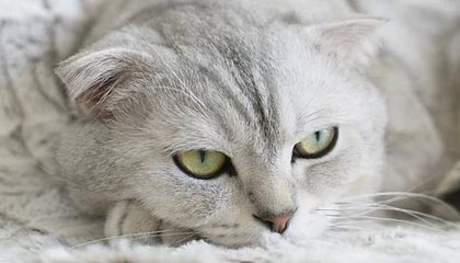 现场的人说：博主在写字楼翻车，原因居然是细节