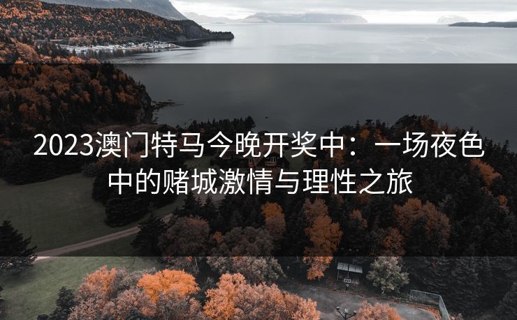 2023澳门特马今晚开奖中：一场夜色中的赌城激情与理性之旅