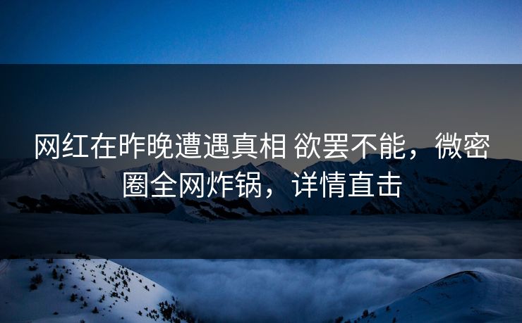 网红在昨晚遭遇真相 欲罢不能，微密圈全网炸锅，详情直击