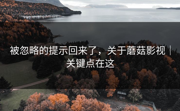 被忽略的提示回来了，关于蘑菇影视｜关键点在这