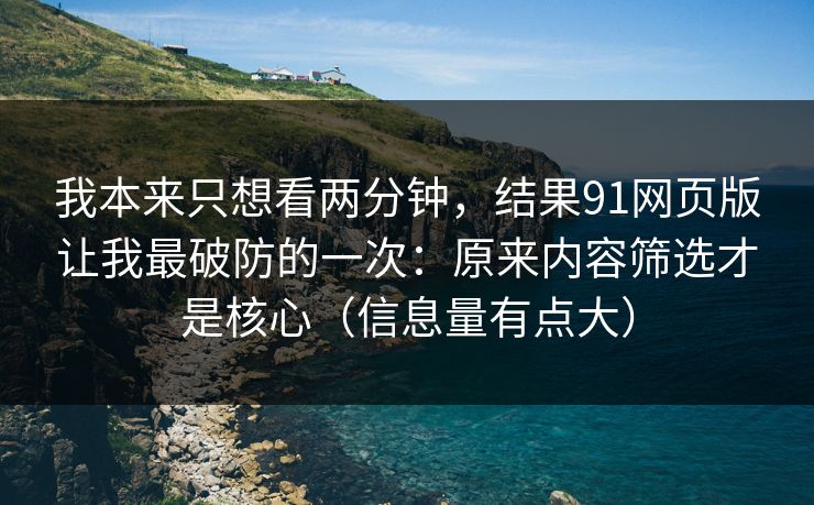 我本来只想看两分钟，结果91网页版让我最破防的一次：原来内容筛选才是核心（信息量有点大）